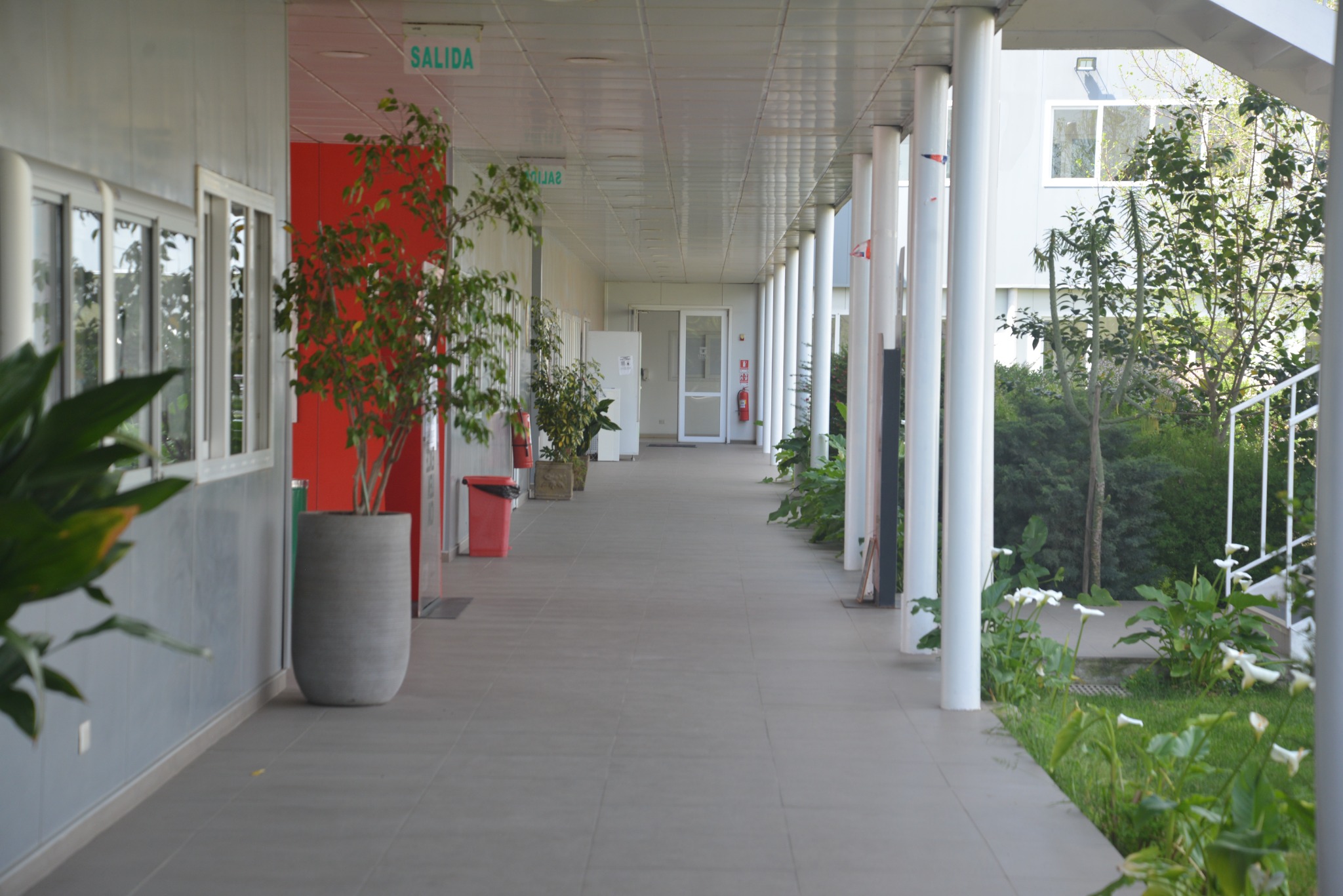 Corredor académico con columnas blancas, vegetación y luz natural en el Campus Pehuenche.